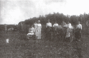 Крымские колонисты в поле